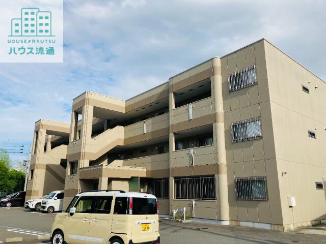 SOPHIA GARDEN