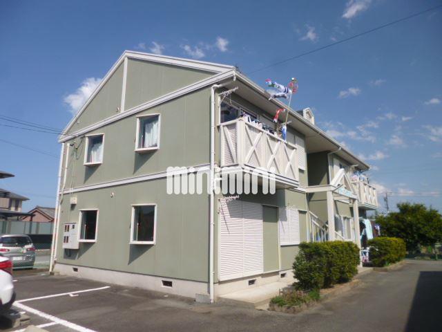 グリーンフレグランス A