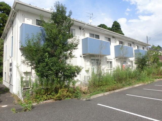 エムティーパイン