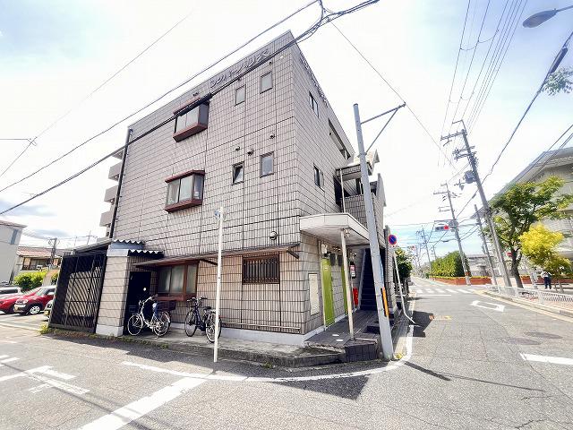 コンパーノ羽衣