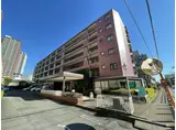 ニューグリーンマンション