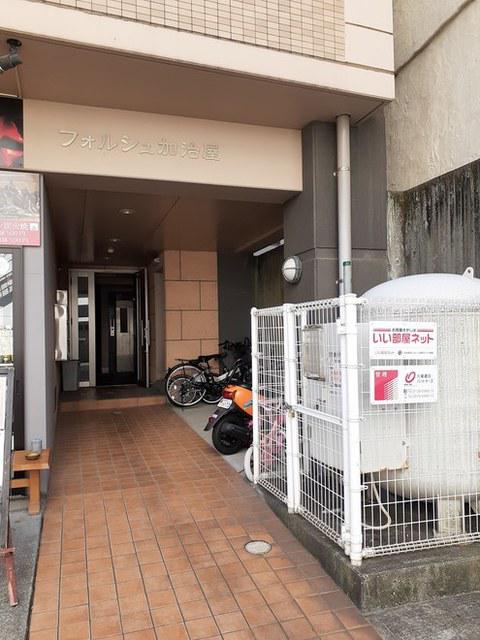 フォルシュ加治屋