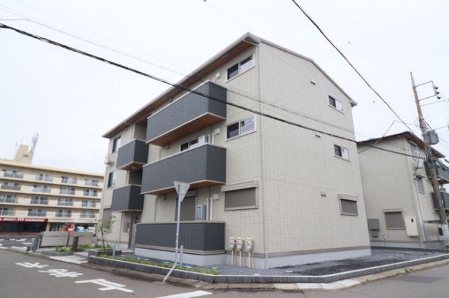 トリシア花水木Y