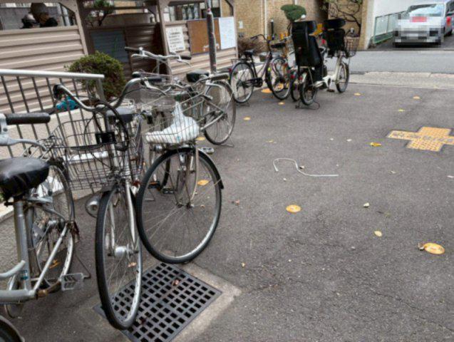 ジャルダン新金山