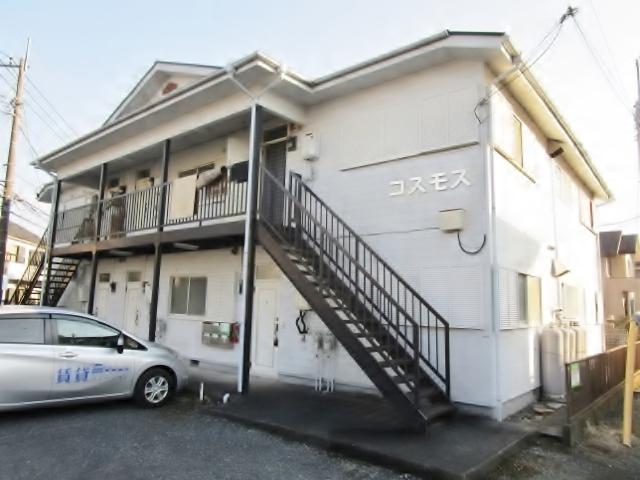 コスモス