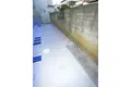 子犬と春風のダイアリー