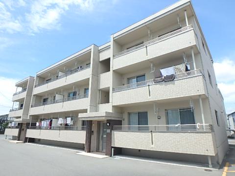 ブエナカーサ初生