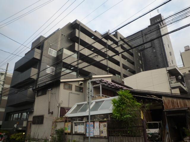 シロハイヌ尼崎