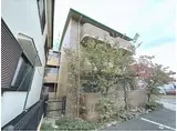 コンフォールパオ