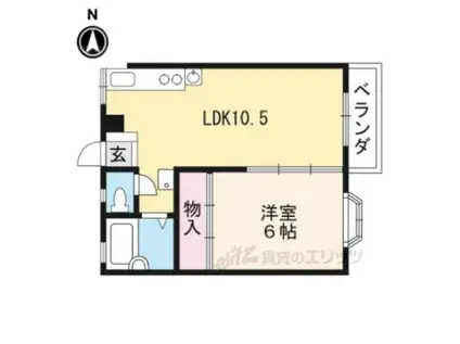 グリーンビューラー(1LDK/1階)の間取り写真