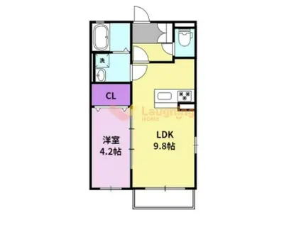 メゾンシュクレ(1LDK/1階)の間取り写真