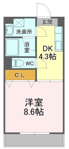 メゾン・アージュ(1DK/1階)の間取り写真