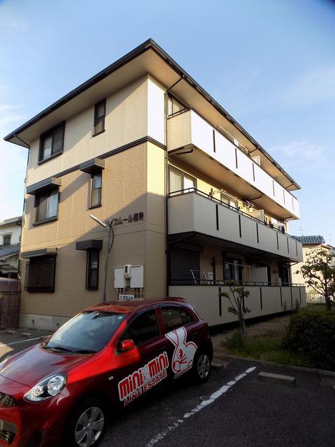 ハイカムール梅寿