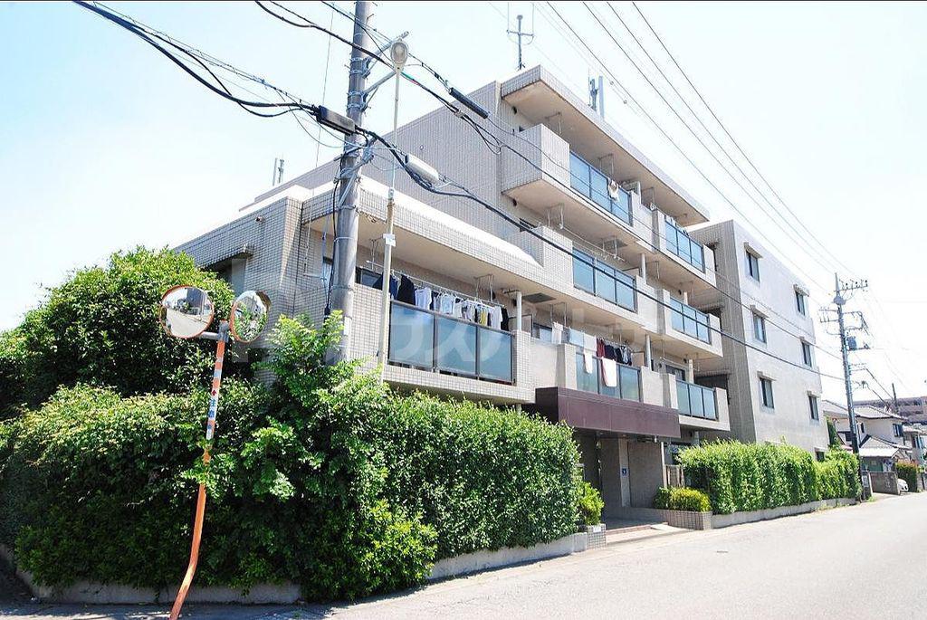 サエラ宮原