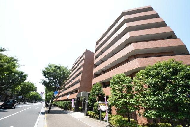 クリサンテーム妙典