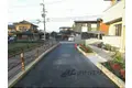 カメリア