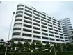ベイシティ浦安B棟(3LDK/10階)