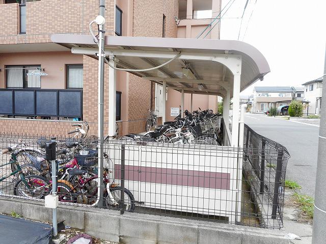フリュイティア1