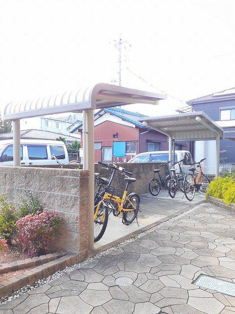 フリージア