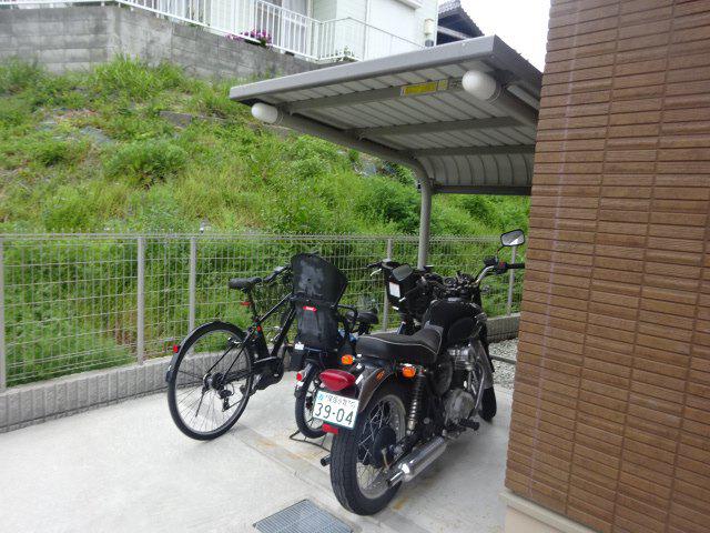 キンモクセイ