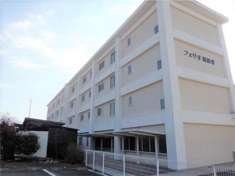 フェリオ加納岩