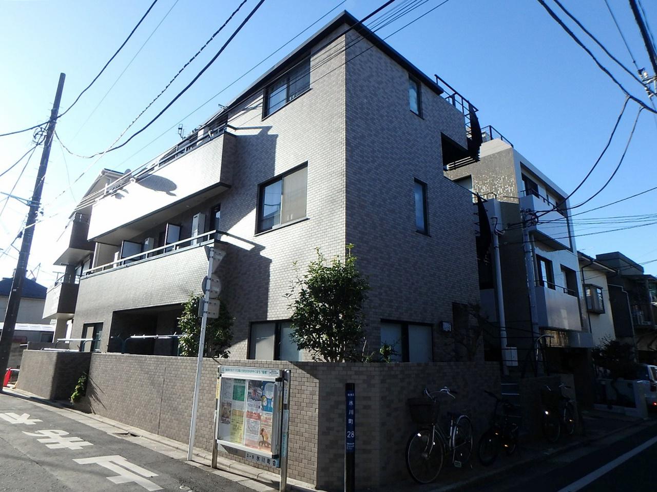 サニーバンブー