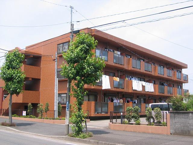 サザンパーク