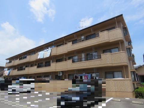 ドリーム雨坪