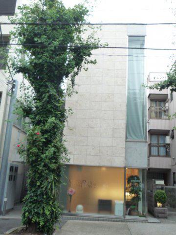 GINKGO AVE