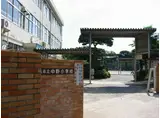 サクセスワカバ