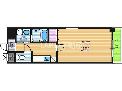 グランディール阪南町III番館(1K/8階)の間取り写真