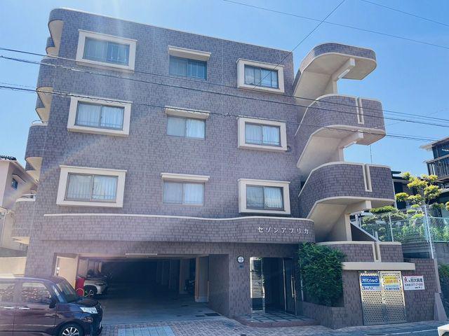 セゾンアフリカ
