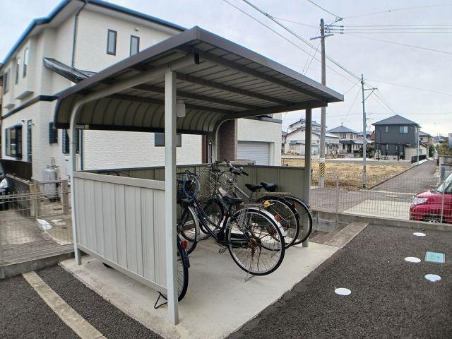 アシェイドサクラ