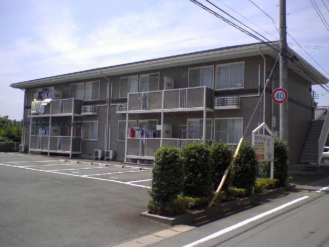 ステラコート