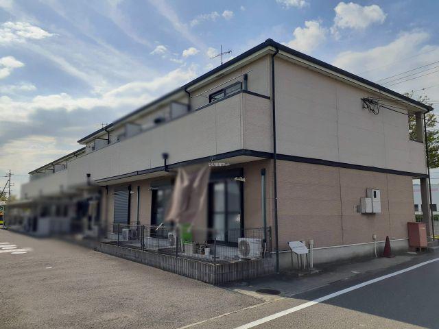 グリーンフォーリスト