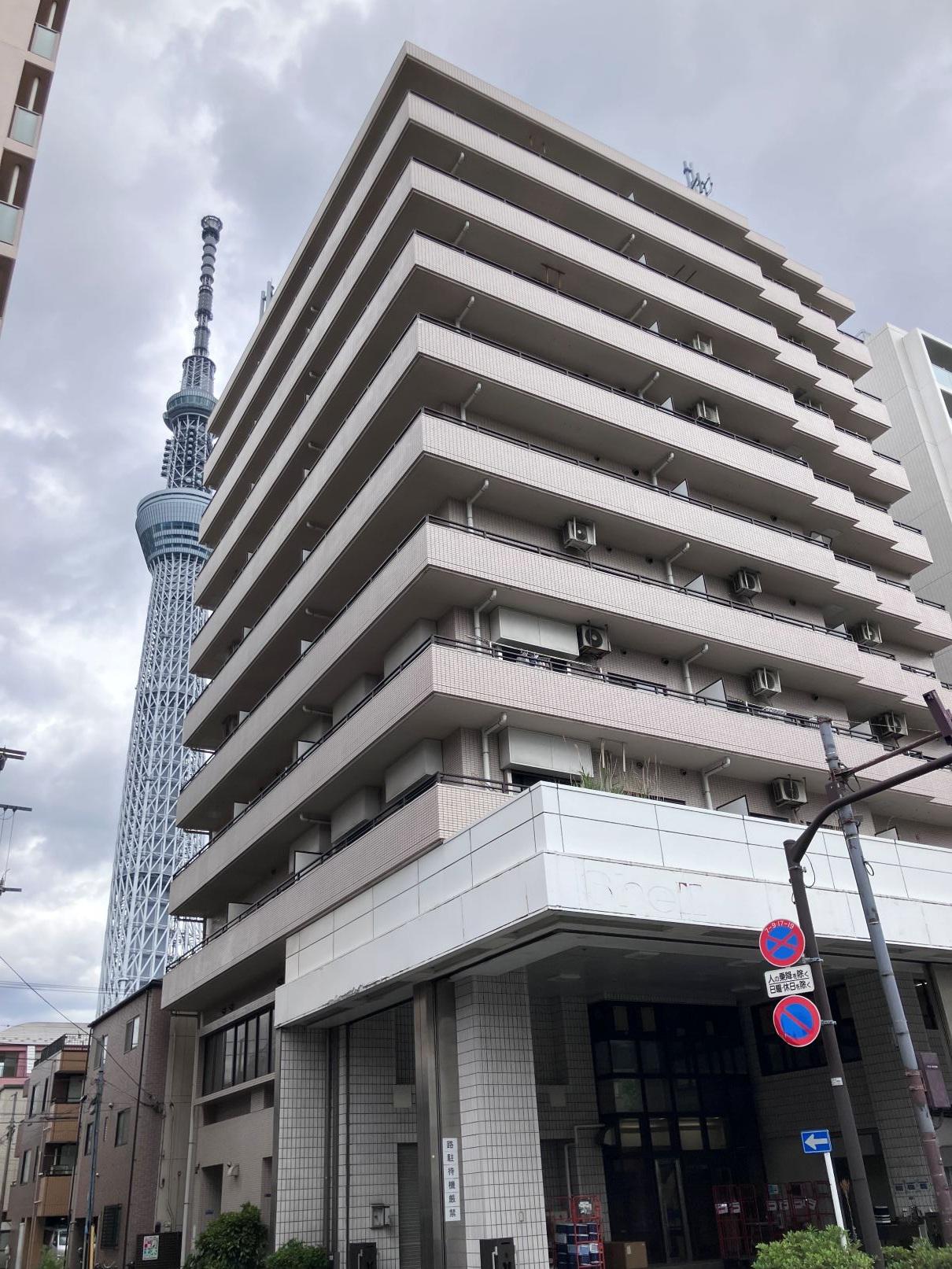 グリーンパーク新向島(1DK/8階)