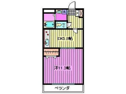 SKマンション5(1DK/1階)の間取り写真