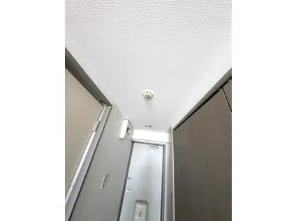 ツバサビル(ワンルーム/5階)の玄関写真