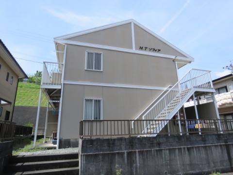 M・Tソフィア