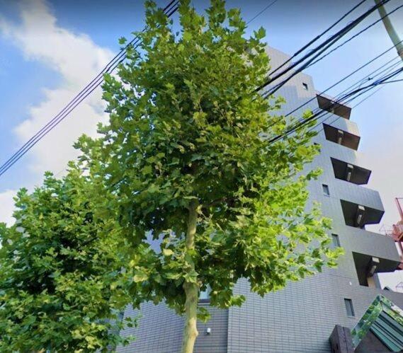 ロックハイツ(2DK/2階)