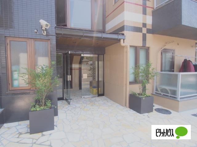 MIRARK