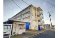 ビレッジハウス野田1号棟[4階]