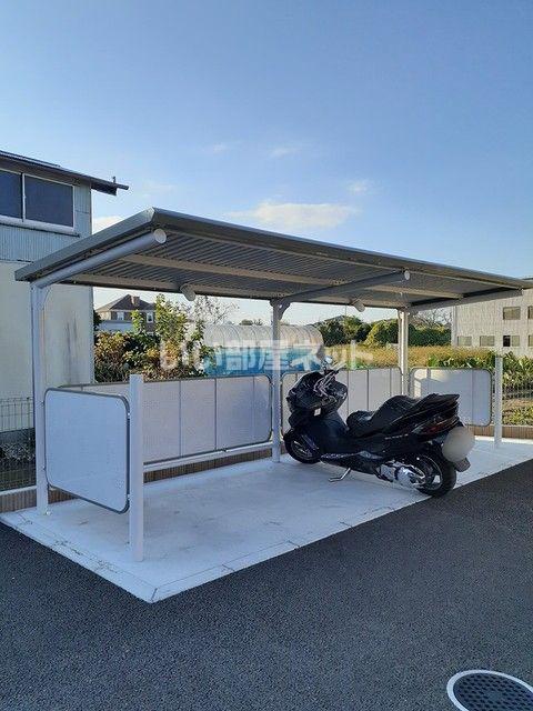 プラシードD