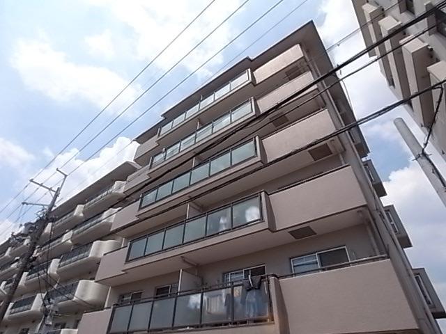 メービウス仁川