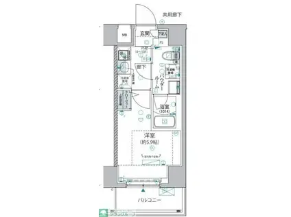 ヴァローレ松戸フィーロ(1K/6階)の間取り写真