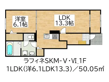 ラフィネSKMーV(1LDK/1階)の間取り写真