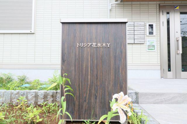 トリシア花水木Y