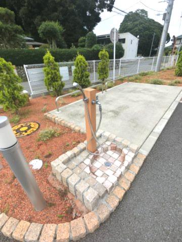 ビオラ・アロッジオI