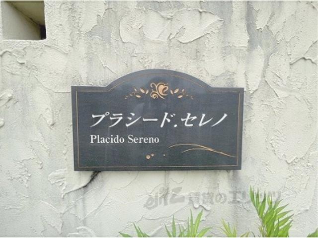 プラシードセレノ