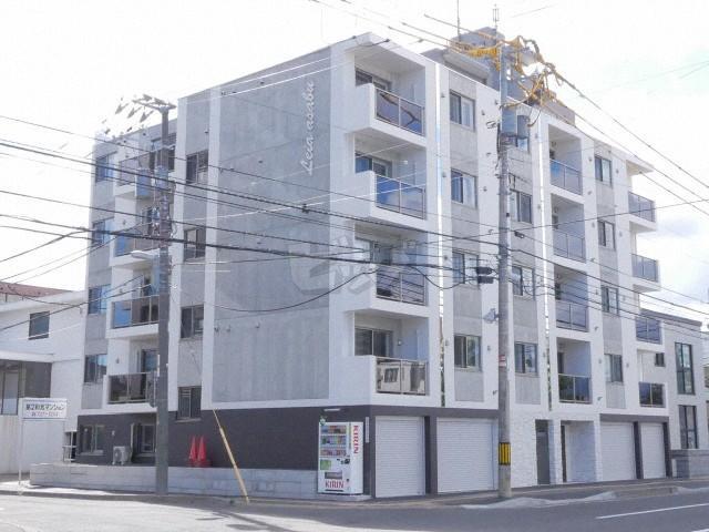 LEIA麻生